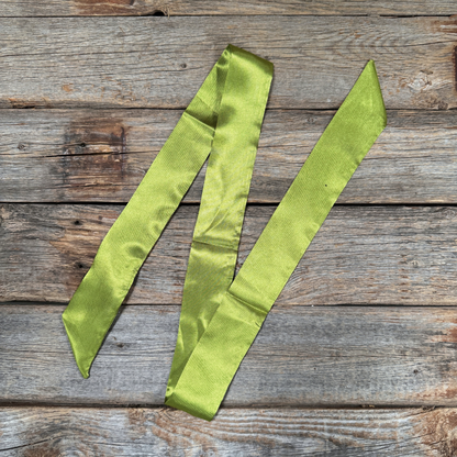 Light Green Western Skinny Mini Wild Rag Scarf / Cowgirl Necktie #TW305X